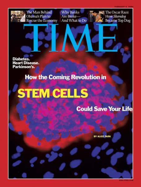 Till & McCulloch and the 1961 Proof of Stem Cells